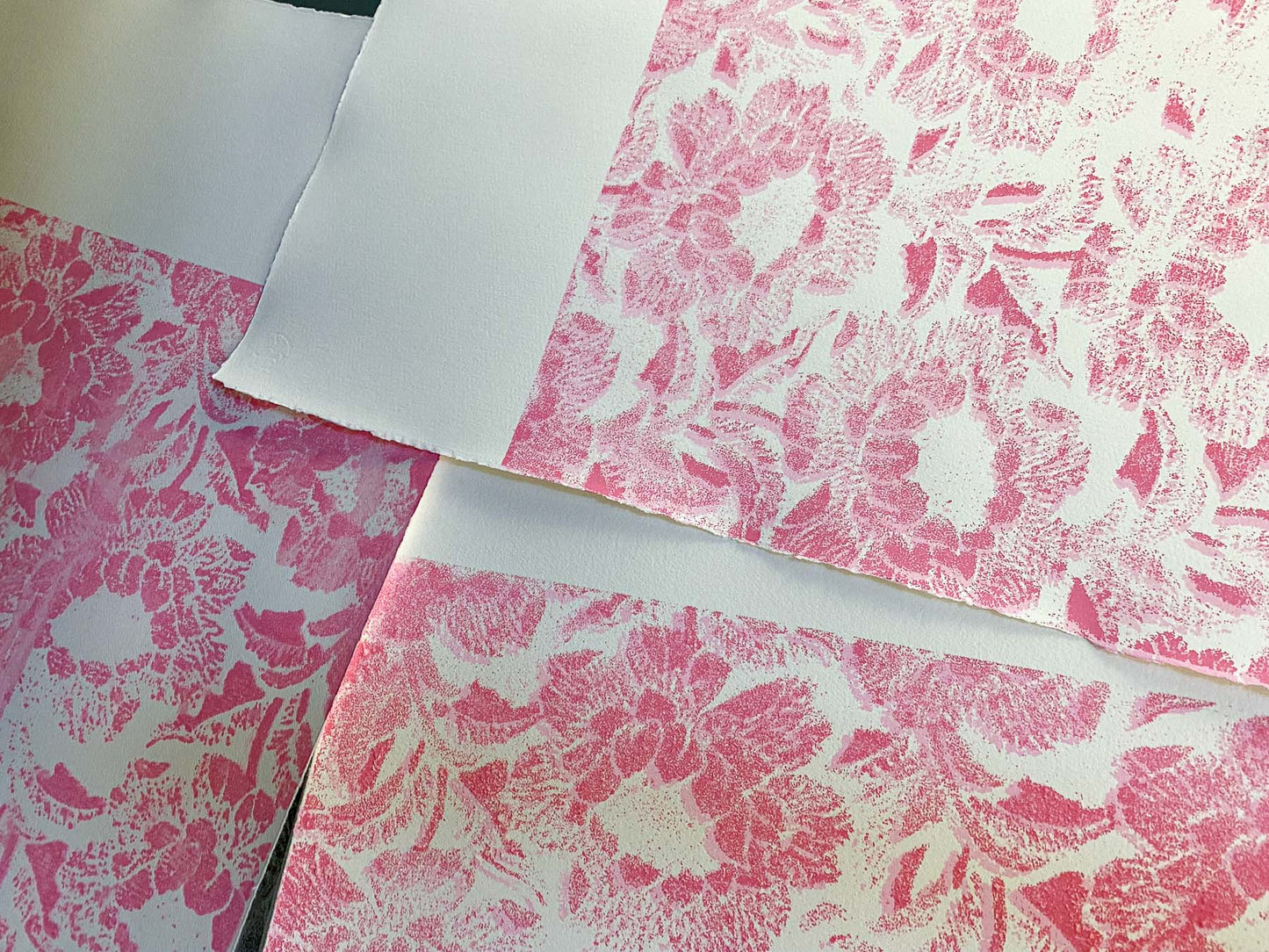 Fauna Study on Pink