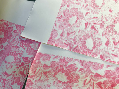 Fauna Study on Pink